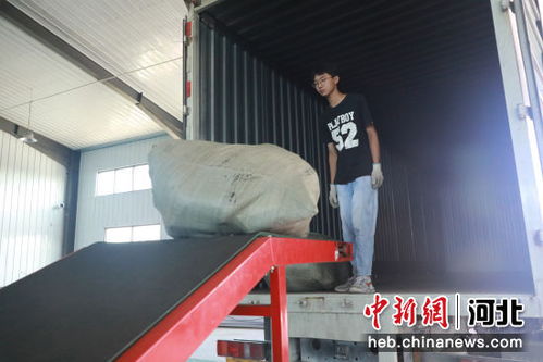 河北高碑店箱包产业年销售额超30亿元