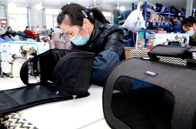 安徽太湖 能人回村添活力，箱包加工促振兴